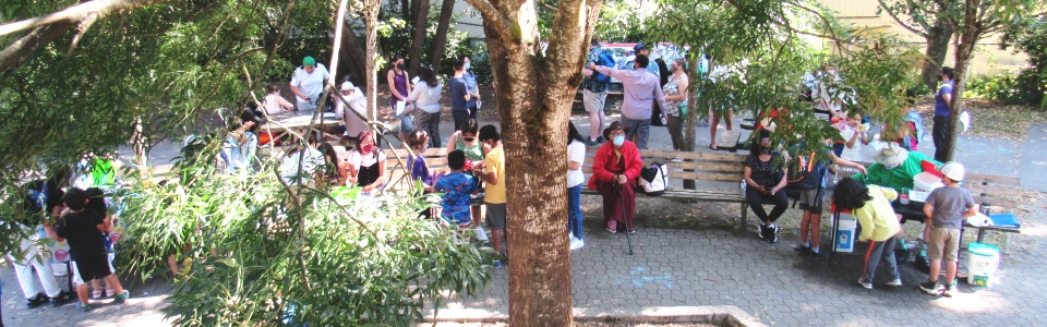 Little Brook celebration people in park