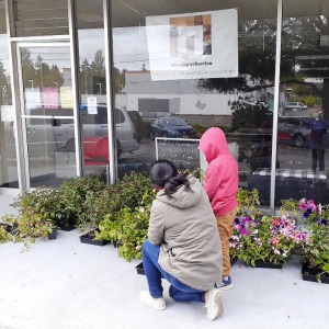 Plant Distribution at Lake City Collective community center